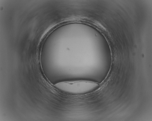 X0000073701216200608171104