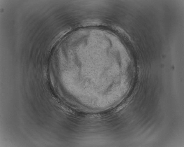 X0000073701217200608171104