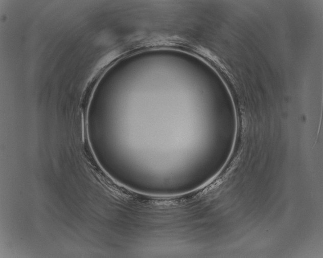 X0000073701219200608171104