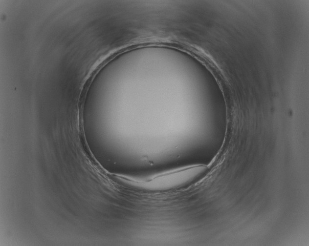 X0000073701220200608171104