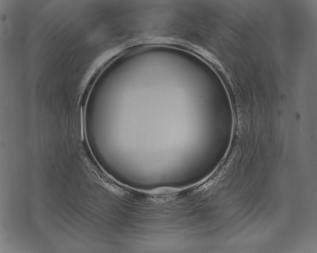 X0000073701223200608171105