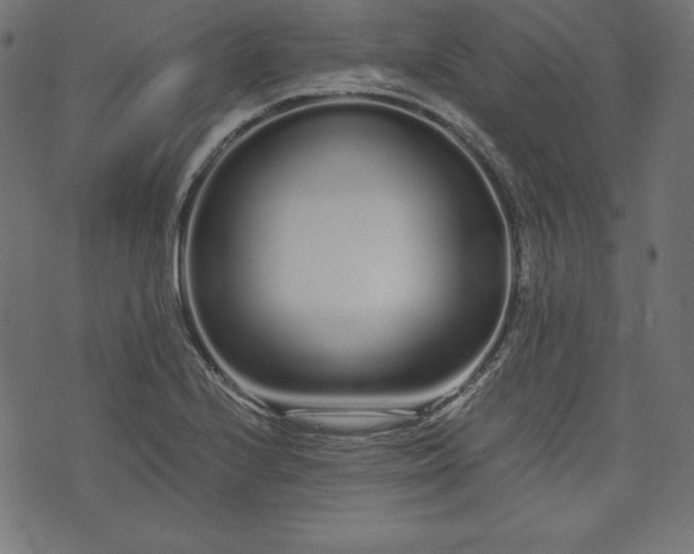 X0000073701224200608171105