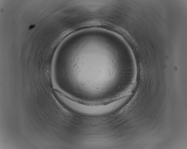 X0000073701225200608171105