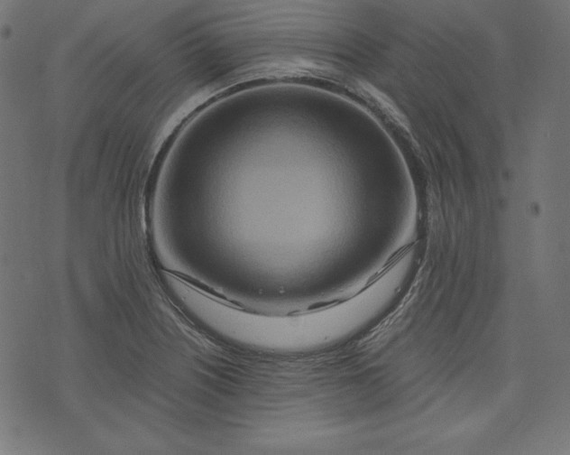 X0000073701226200608171105