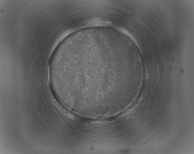 X0000073701227200608171105