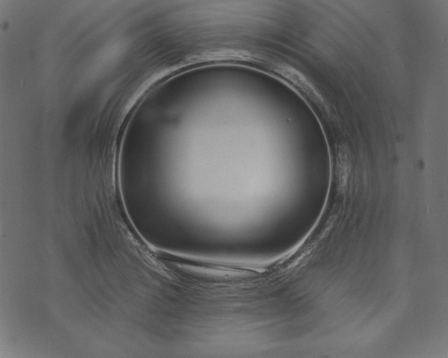 X0000073701228200608171105