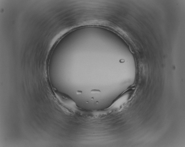 X0000073701230200608171105