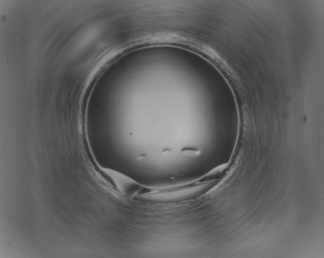 X0000073701232200608171105