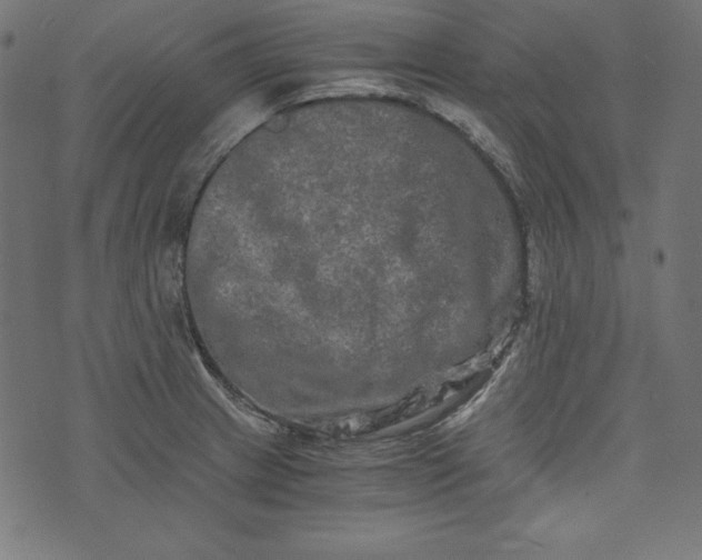 X0000073701233200608171105