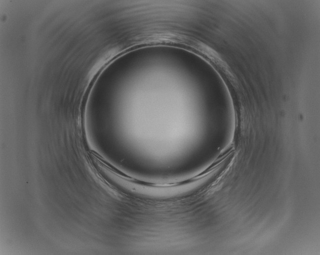 X0000073701234200608171105