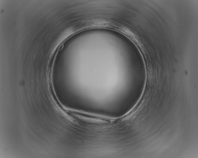 X0000073701235200608171105