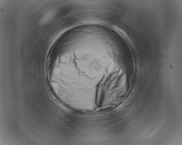 X0000073701236200608171105