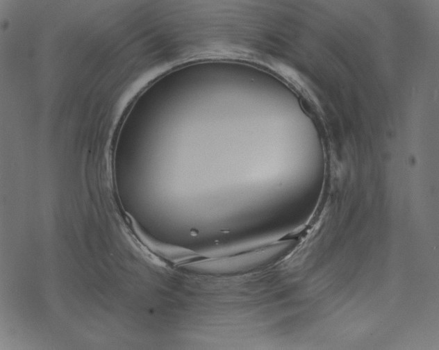 X0000073701238200608171105