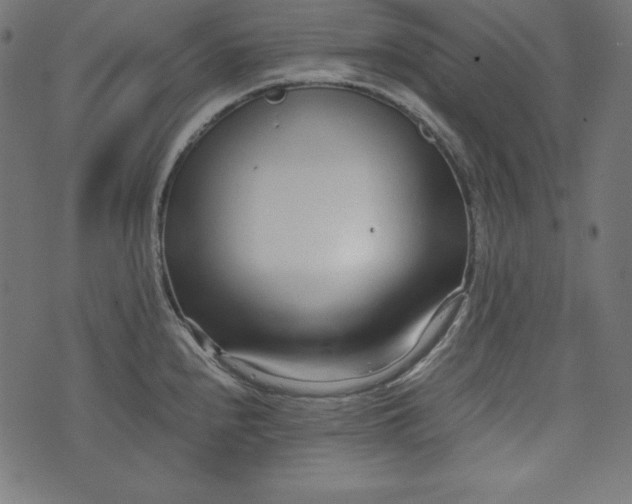 X0000073701240200608171105