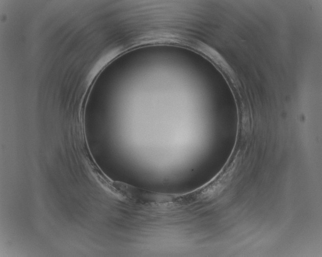 X0000073701242200608171105