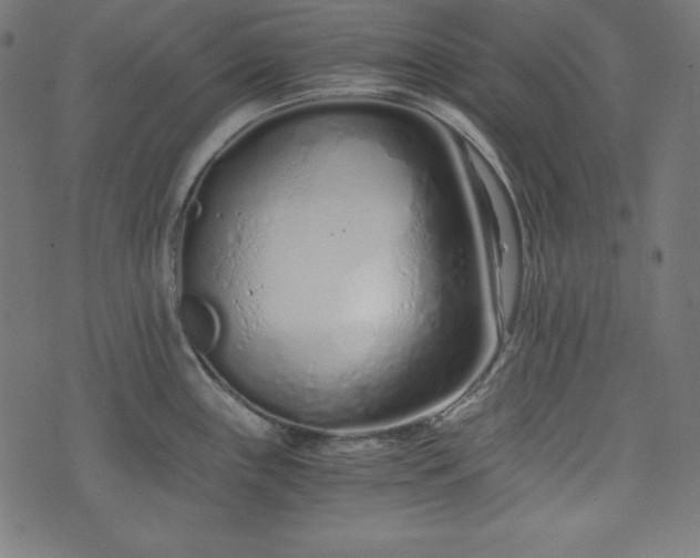 X0000073701243200608171105