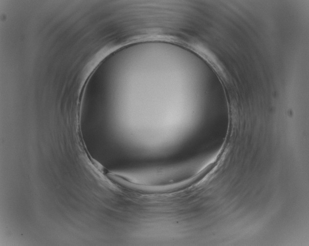 X0000073701244200608171105