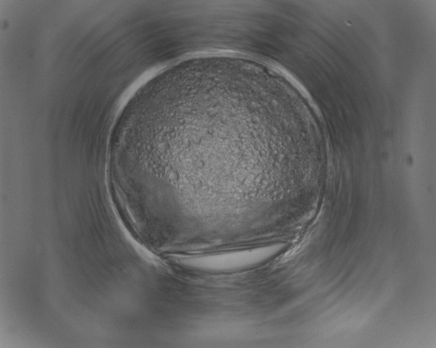 X0000073701245200608171105