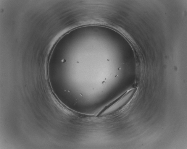 X0000073701246200608171105