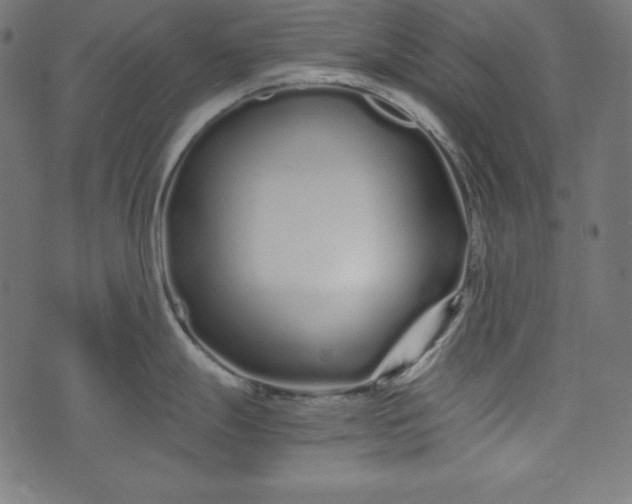 X0000073701247200608171105