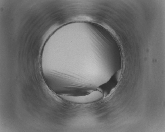 X0000073701248200608171105