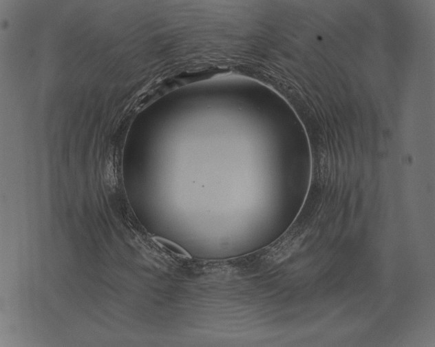 X0000073701250200608171104