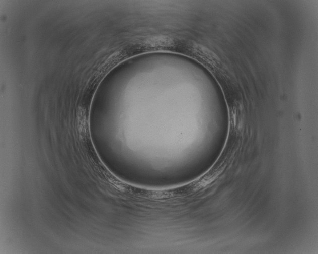 X0000073701251200608171104