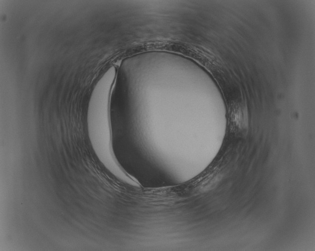 X0000073701252200608171104