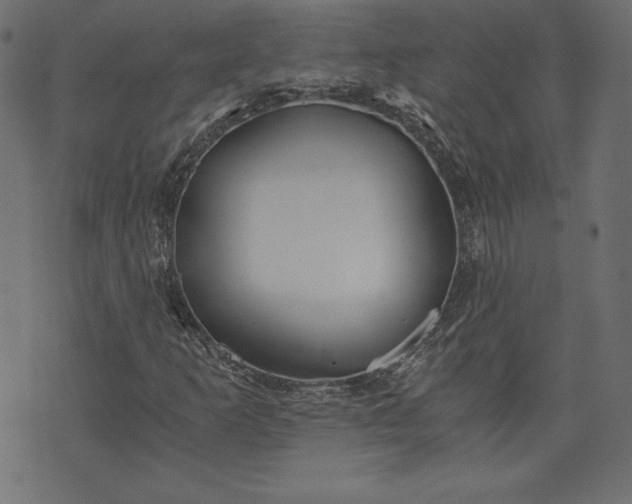 X0000073701253200608171104