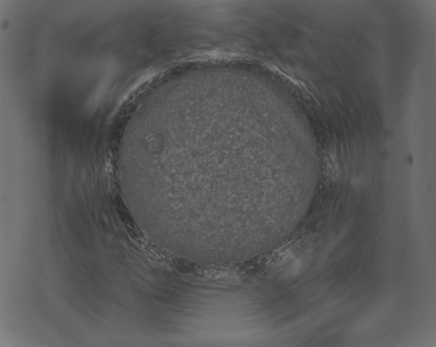 X0000073701254200608171104