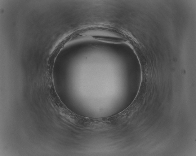 X0000073701256200608171104