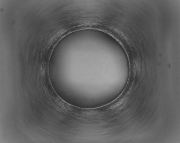 X0000073701257200608171104