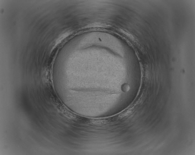 X0000073701258200608171104