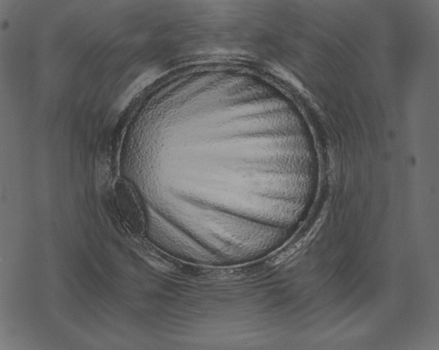 X0000073701259200608171104