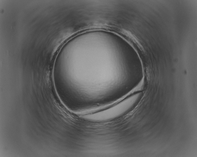 X0000073701260200608171104