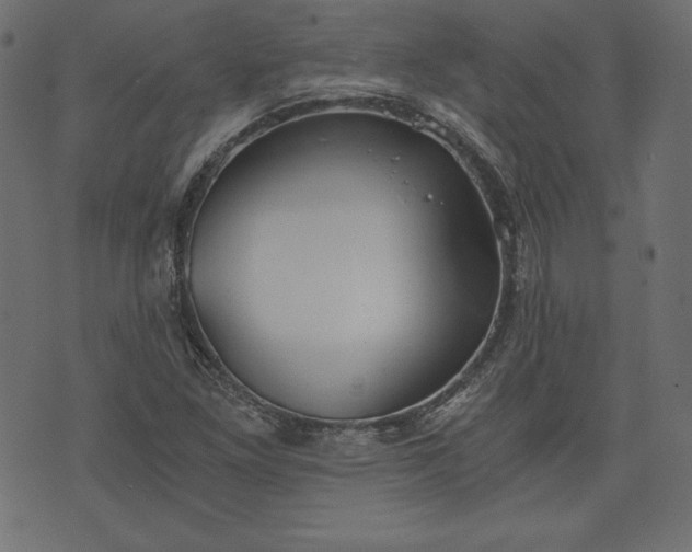 X0000073701261200608171104