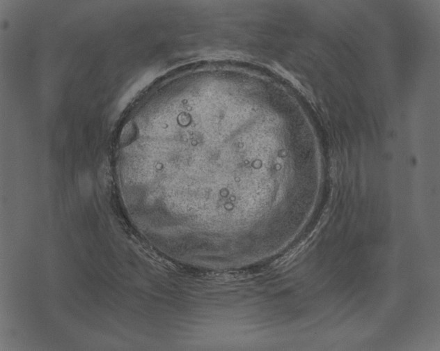 X0000073701263200608171104