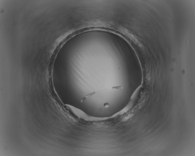 X0000073701264200608171104