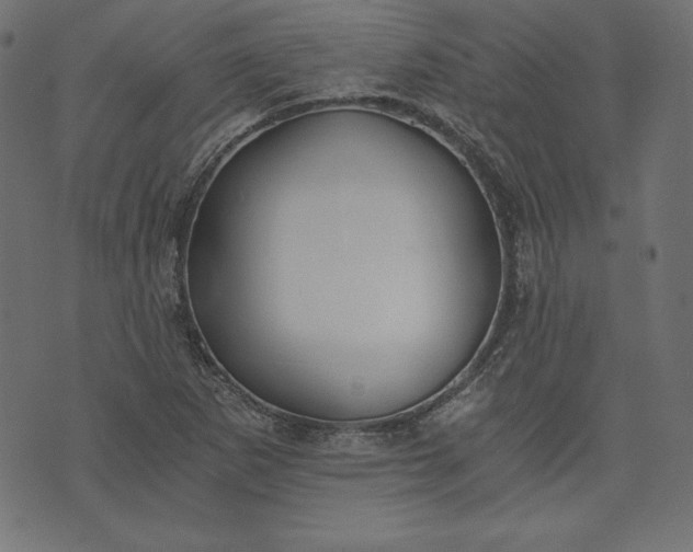 X0000073701265200608171104