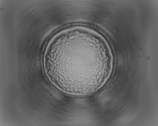 X0000073701266200608171104