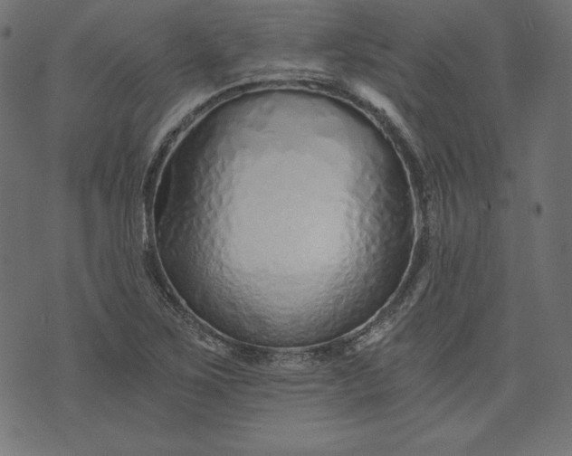 X0000073701267200608171104