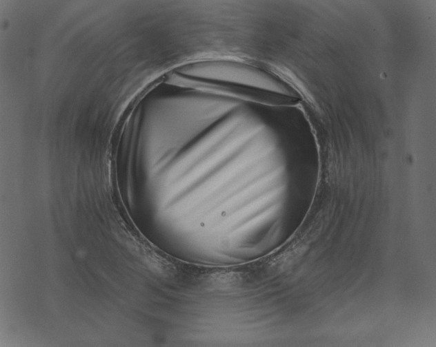 X0000073701268200608171104