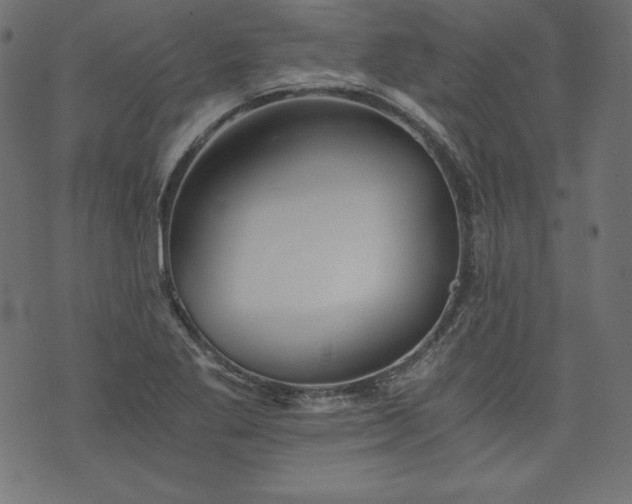 X0000073701269200608171104