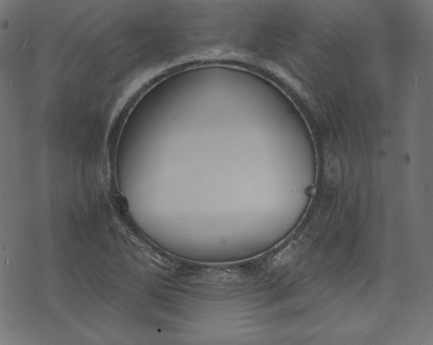 X0000073701270200608171104