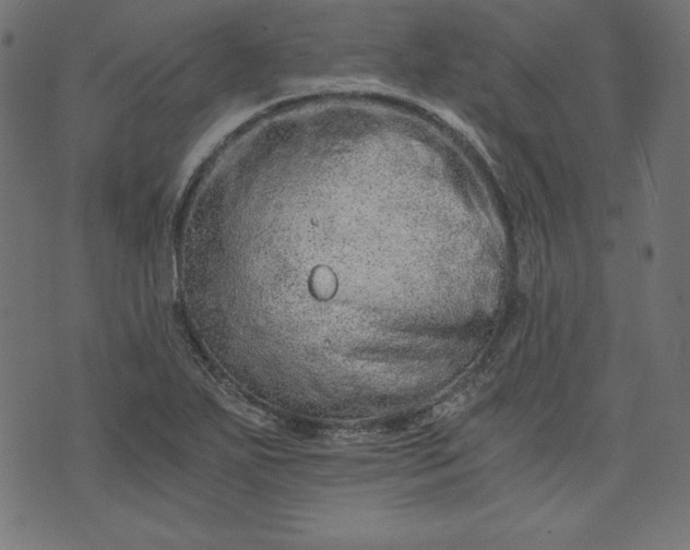 X0000073701271200608171104