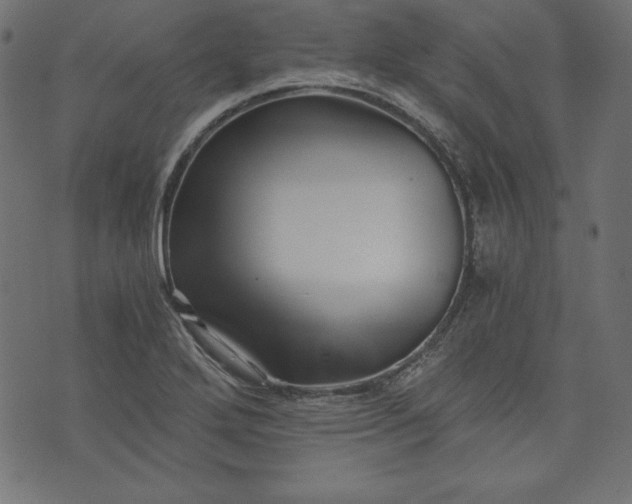 X0000073701272200608171104