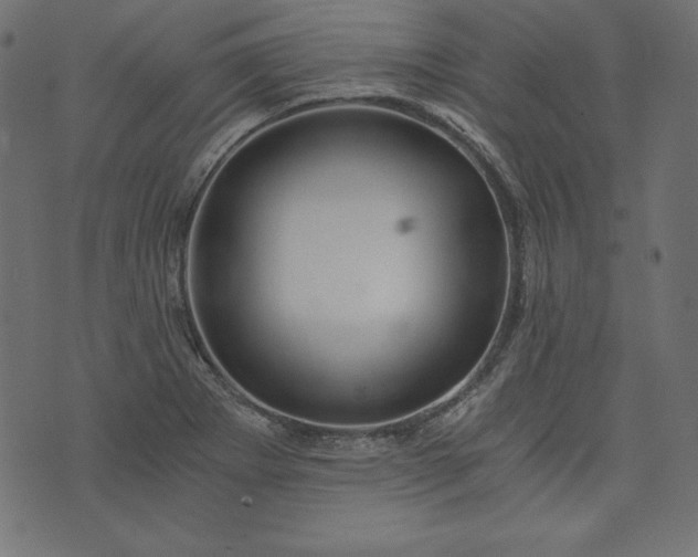 X0000073701273200608171104