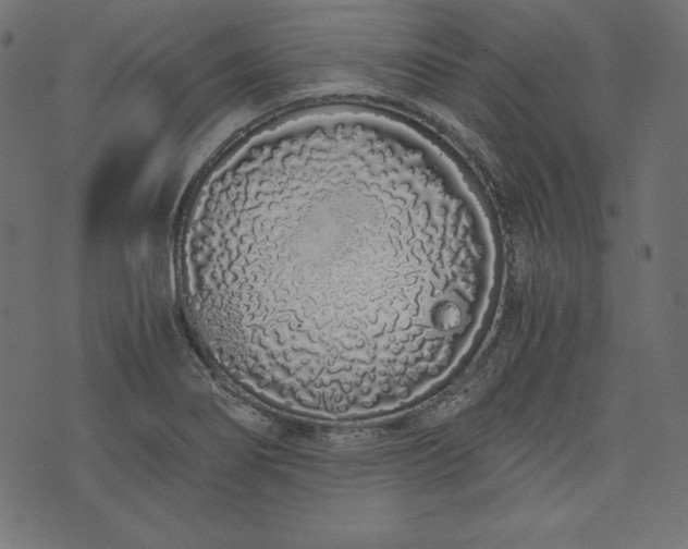 X0000073701274200608171104