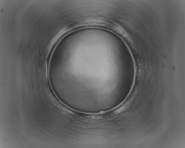 X0000073701275200608171104