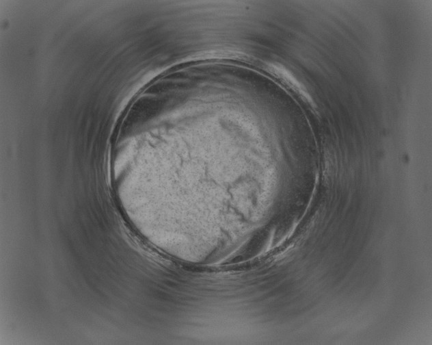 X0000073701276200608171104